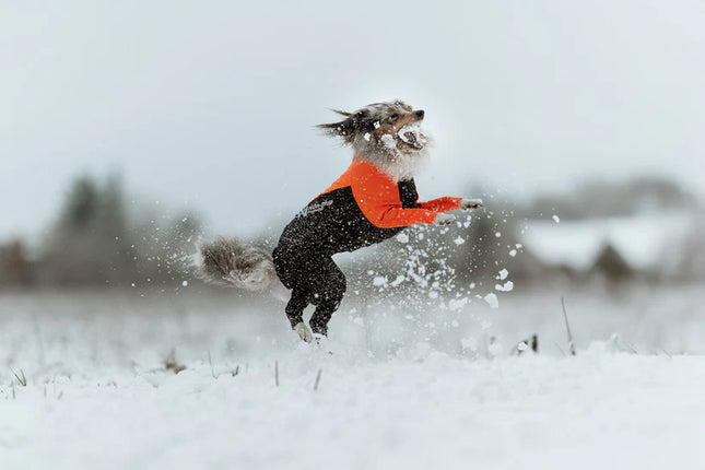 Protector suit - hannhund