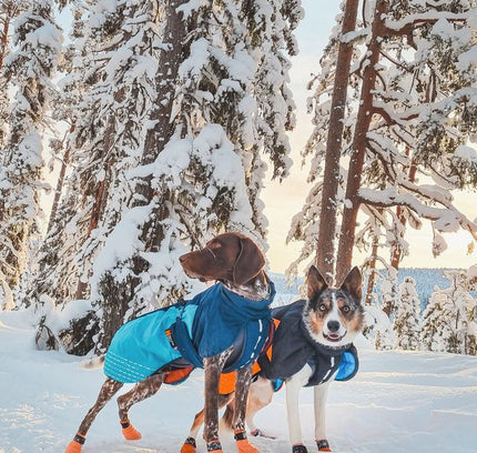 Glacier jacket 2.0