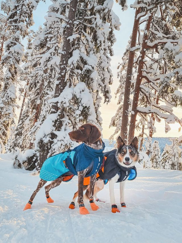 Glacier jacket 2.0