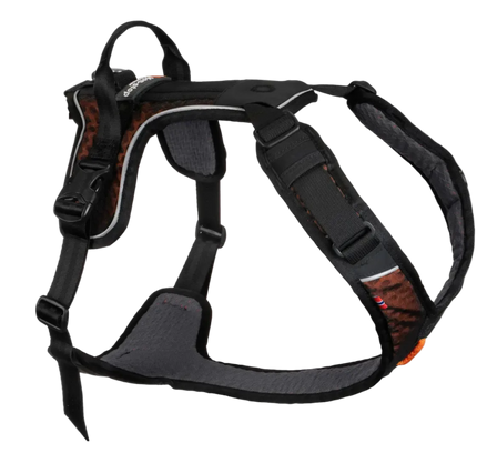 Rock harness