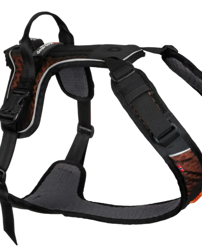 Rock harness