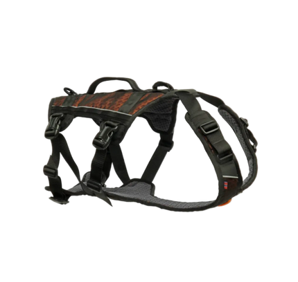 Rock harness long