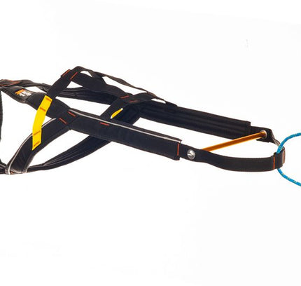 Nansen stick harness