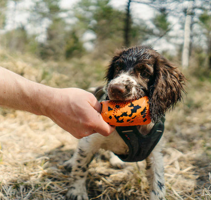 Dog throw toy