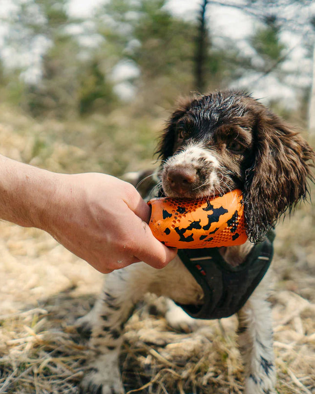 Dog throw toy
