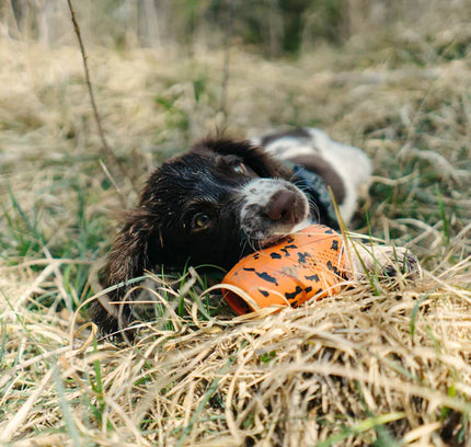 Dog throw toy