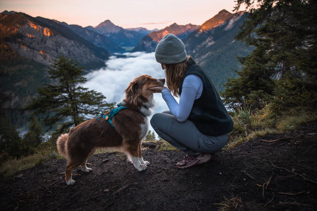 Trail quest pants Women