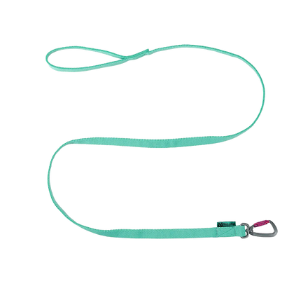 Bungee leash