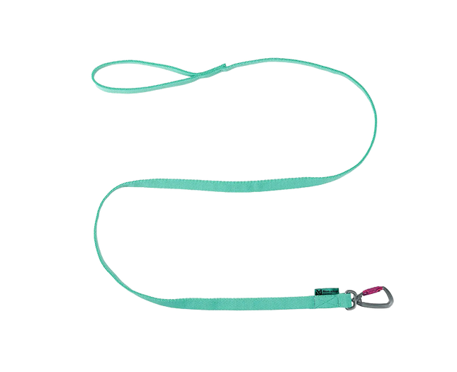 Bungee leash