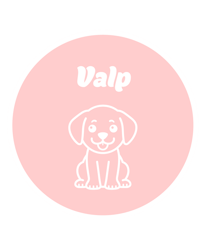 Valp BURGER