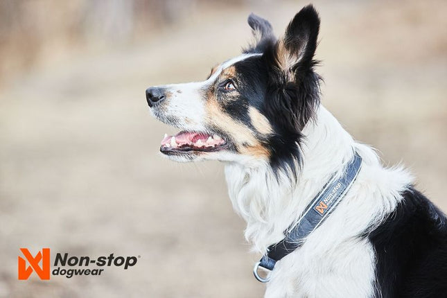 Cruise Collar